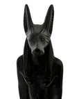 Anubis