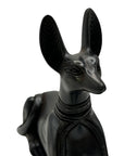 Anubis sitting