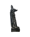 Anubis